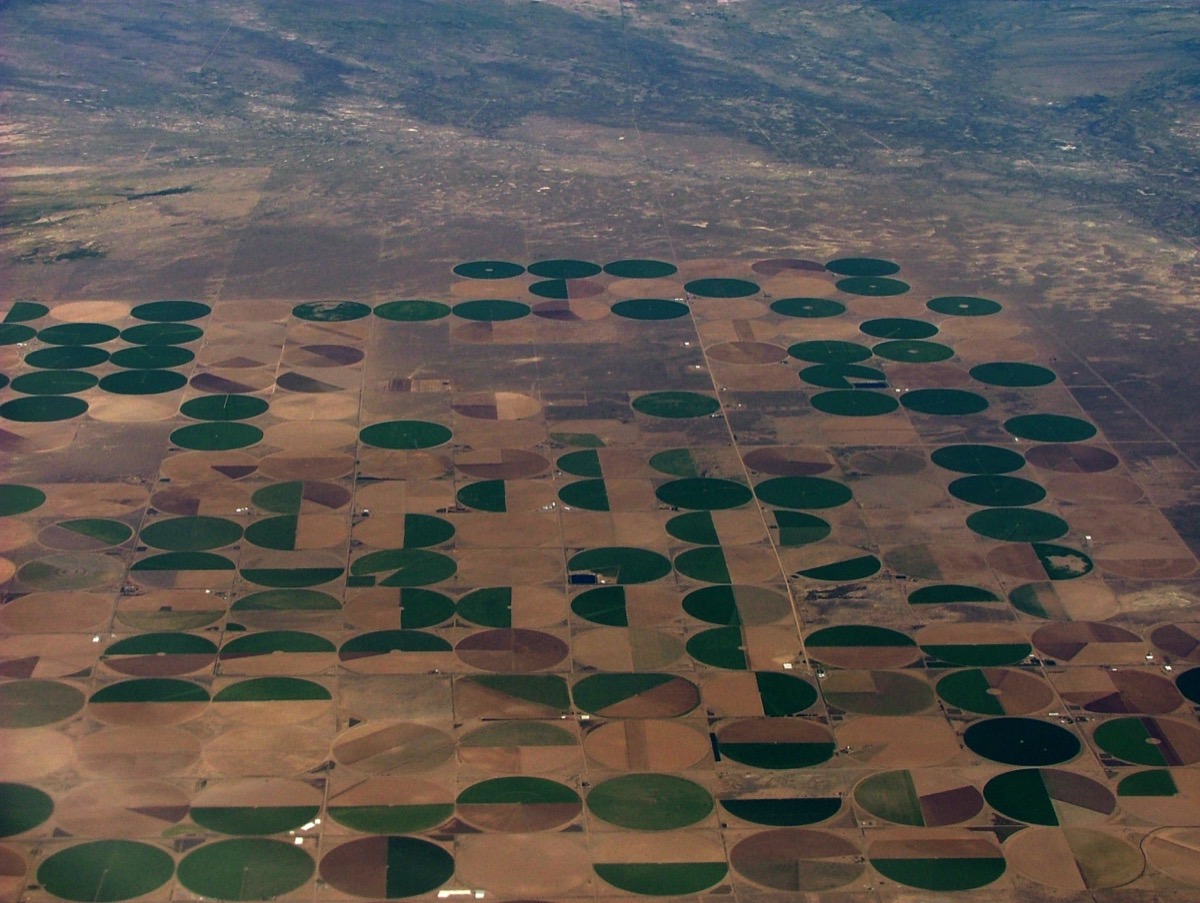 Aerial view of center-pivot fields in rural Texas